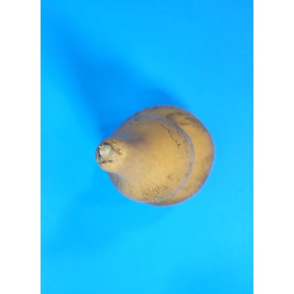 Chinese Carved Dragon Gourd Branched Horns Writing 7 in. High Real - Picture 6 of 10